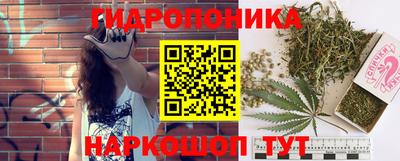 стафф Бузулук