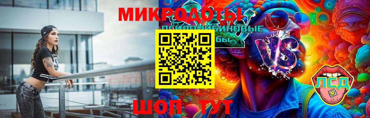 Тамбов  Псилоцибиновые грибы GOLDEN TEACHER  Вход с VPN 